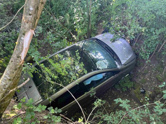 Waldkirch: Auto nach Selbstunfall in Bachbett gelandet