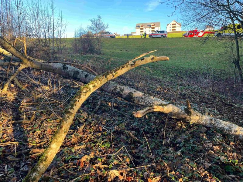 Hemberg: Beim Holzen verunfallt