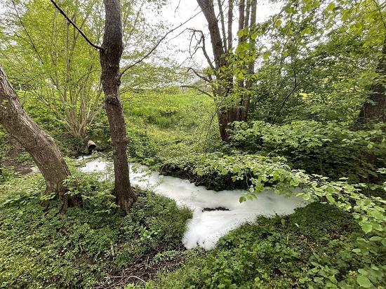 Verschmutzung des Croset-Bachs in Villars-sur-Glâne