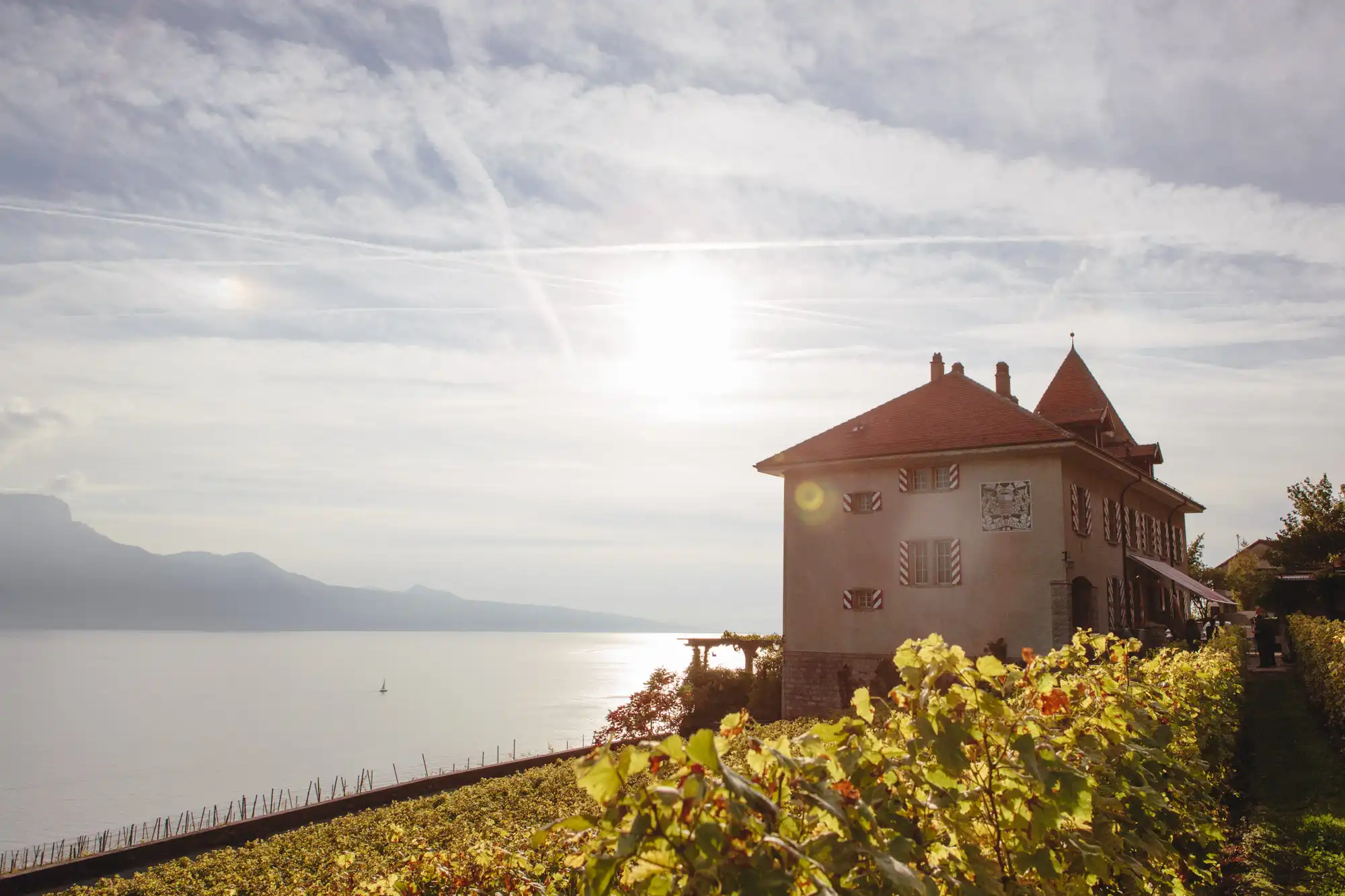 Trois domaines viticoles de Lausanne passent au bio.