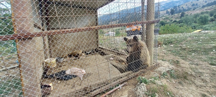 VIER PFOTEN deckt Tierschutzverstöße in Albanien auf - alarmierende Fälle von Ausbeutung von Wildtieren