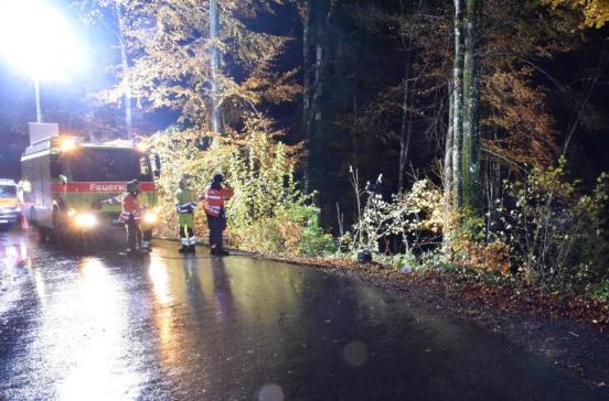 Verkehrsunfall in Sternenberg: Autofahrer schwer verletzt nach Baum-Kollision