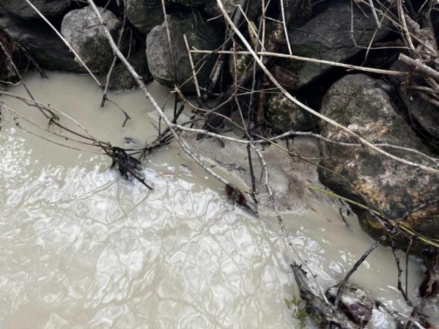 Ursprung der Bachverschmutzung in Grattavache lokalisiert - Ermittlungen im Gange