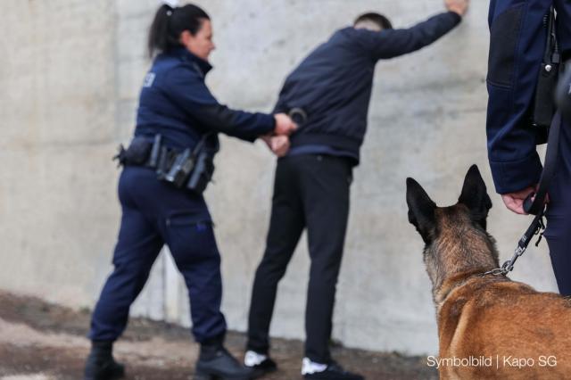 Einbrecher in St.Gallen festgenommen: Drohne und Diensthund stellen flüchtigen Rumänen