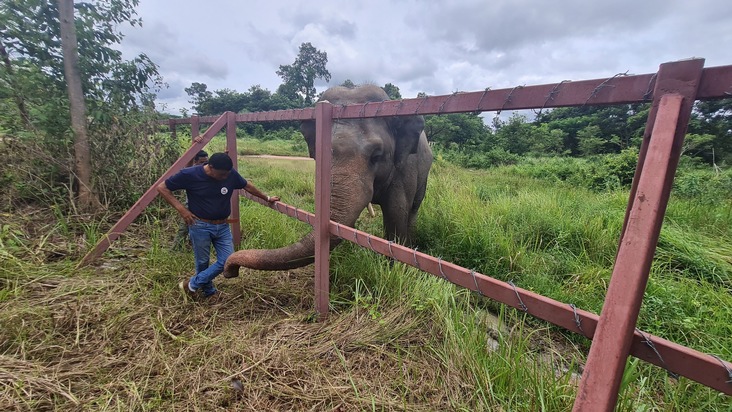 VIER PFOTEN zu Besuch beim einst «einsamsten Elefanten der Welt»