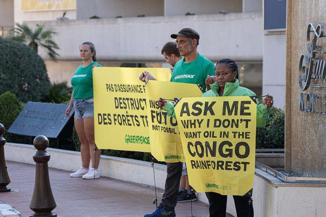 Insuring the future by protecting the Congo rainforest