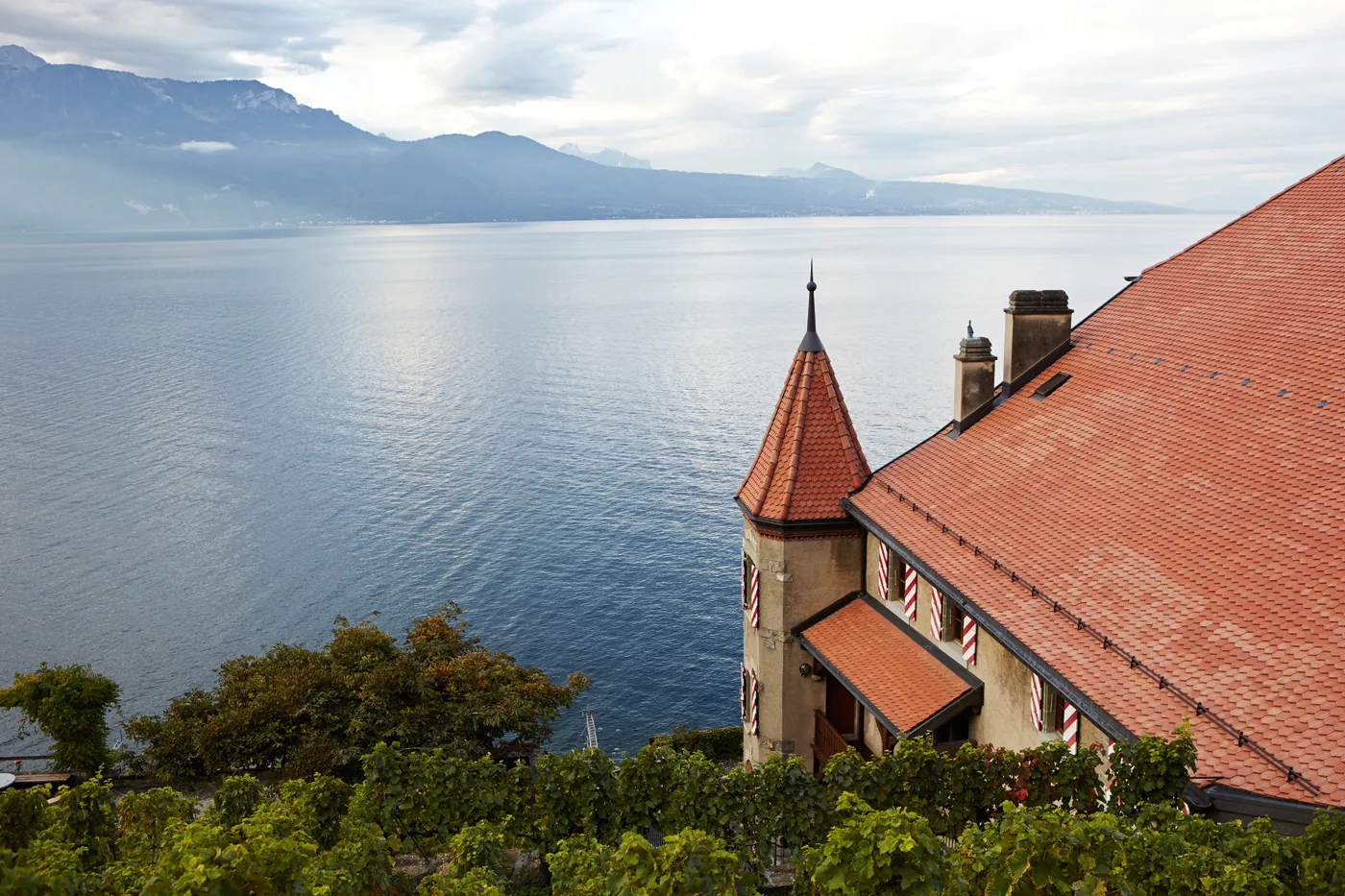 La Ville de Lausanne fière d\'être classée parmi les meilleurs vignerons suisses par GaultMillau 2024