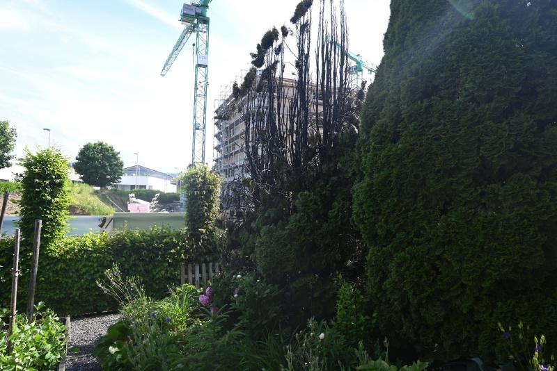 Niederuzwil / Bronschhofen: Thuja-Hecken in Brand geraten
