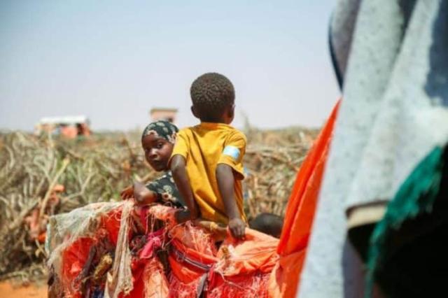 Neuer UN-Bericht zur globalen Nahrungsmittelkrise: Eine Viertelmilliarde Menschen betroffen