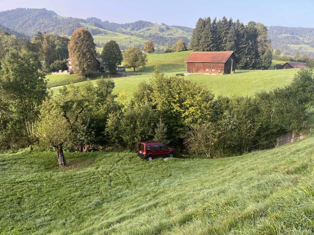 Ebnat-Kappel: Auto durchbricht Weidezaun und prallt in Schaf – Fahrer fahrunfähig