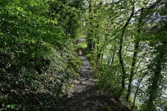 Ellikon am Rhein: Mountainbiker verletzt sich bei Selbstunfall schwer