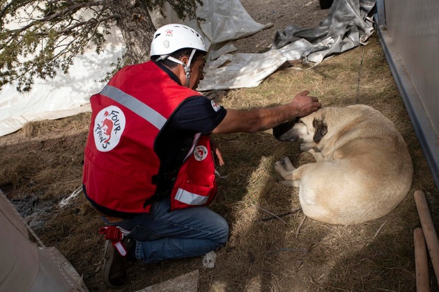 VIER PFOTEN setzt Hilfe für notleidende Tiere in Türkei und Syrien fort