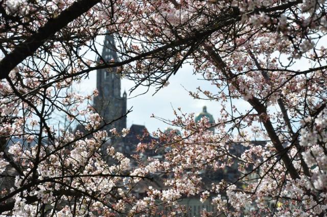 Kurz vor Ostern: Frühlingserwachen in Bern