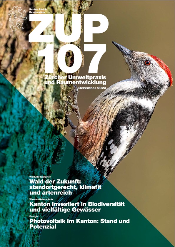 Waldbodenkartierung enthüllt zukünftige Waldzusammensetzung und Tierartenvielfalt in Zürich