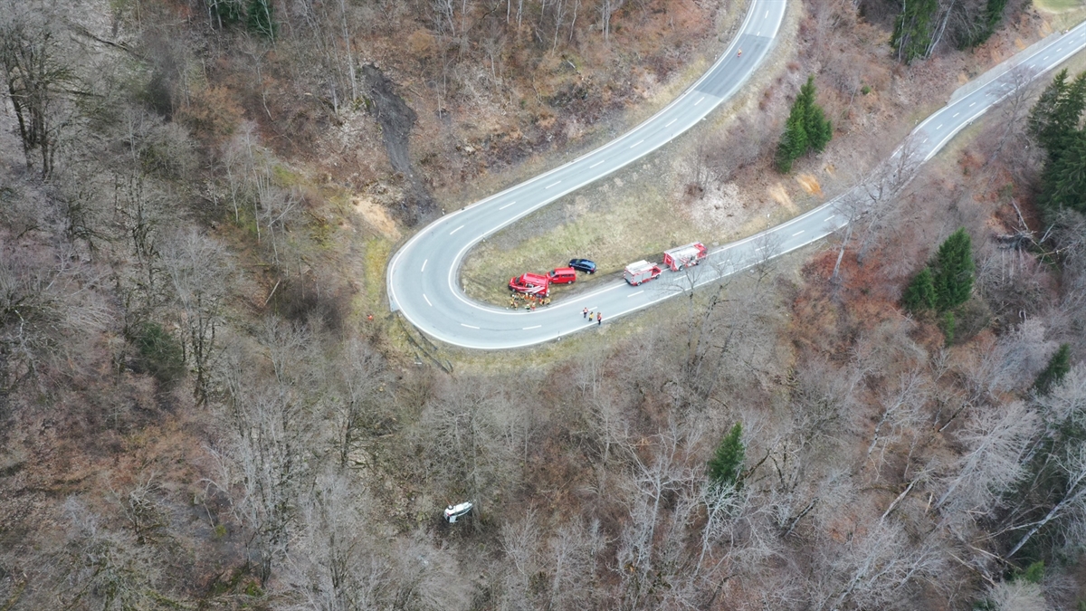 Auto stürzt oberhalb von Ilanz in den Wald - Insassen ins Spital gebracht