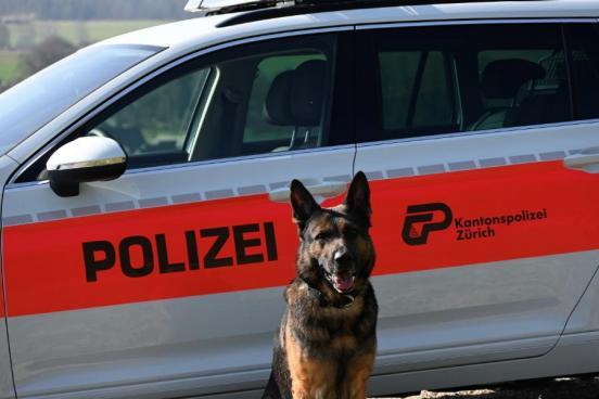 Höri: Streit fordert Schwerverletzten - Täter durch Polizeihund aufgespürt