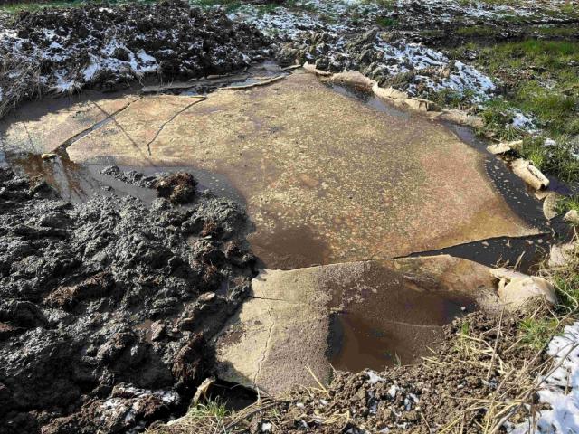 Gewässerverschmutzung im Mehlbach: Keine toten Fische entdeckt, Landwirt wird angezeigt